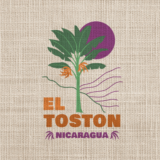 Café grain Nicaragua El Toston - LS Coffee
