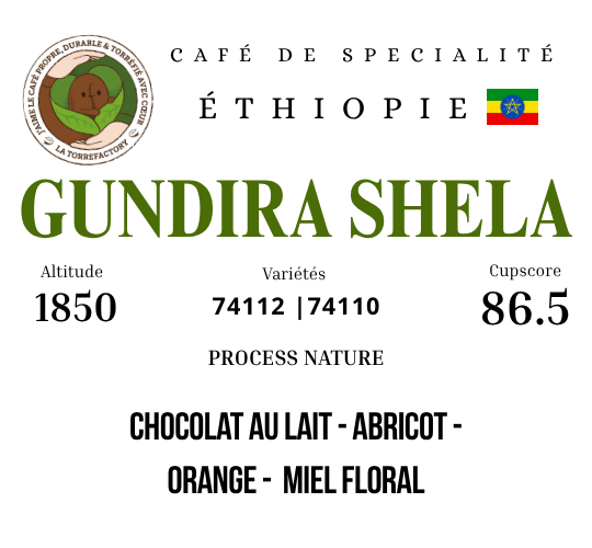 ETHIOPIE - GUNDIRA SHELA